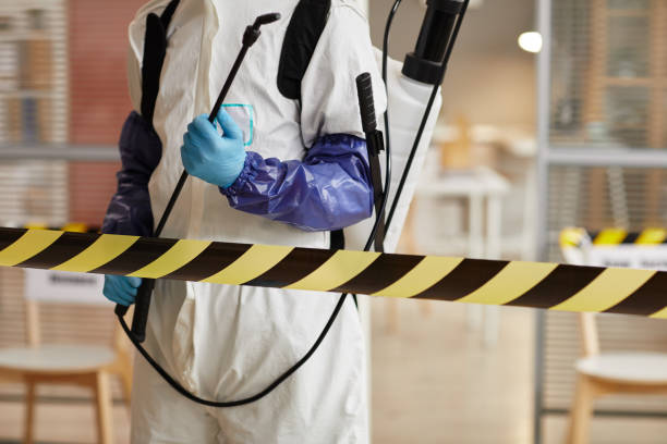 Professional Sewage Cleanup technician working in Agua Dulce, TX